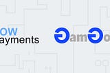 We are pleased to announce that GamGox have partnered with NowPayment to accept crypto payments.