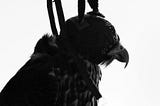 The Caged Falcon