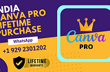 Canva Pro Lifetime Purchase in India