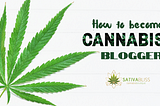 How to Become a Cannabis Blogger
