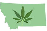 Should Montana Legalize Adult Use Marijuana This November?