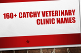 160+ Catchy Veterinary Clinic Names