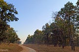 JUNGLE BOOK BY SIR RUDYARD KIPLING REVISITED……PENCH NATIONAL PARK.