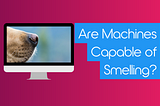 Are machines capable of smelling?