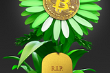 In Full Bloom: Flower Power DAO’s Canister Upgrade Unveiled!