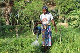 Le micro-jardinage à Ouagadougou pour garantir une alimentation saine et équilibrée