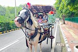A Joyful Retro Tonga Ride