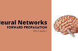 Feed Forward Neural Networks | Intuition on Forward Propagation