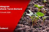Webagron Haftalık Tarım Bülteni: 8–12 Aralık 2025