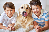 Pet friendly home pawsome tips and tricks blog and publication from pet shop petsloop.net