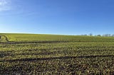 Green meadows and a clear blue sky, not in France
