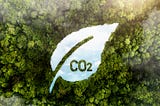 The Power of Forest Carbon: A People-Centric, High-Quality, Multi-Impact, and Collaborative…