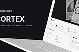 Case study: Improve file management experience of a digital asset management platform