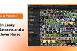 On Leaky Datasets and a Clever Horse