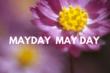 Mayday May Day