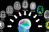 A New Frontier in Health and Wellness: Voice Cloning and fMRI, and