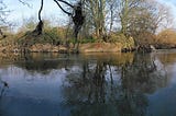 Reflections on perception by the Lea