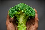 Two hands holding a broccoli floret