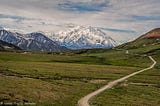 hiking in Denali National Park
