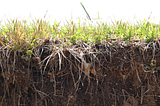 Tending to the grassroots