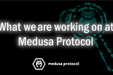 What is going on at Medusa Protocol