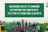 Unlocking Access to Cannabis Cultivation This Juneteenth: The Story of Grow Gods Club NFTs