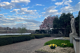 2025 First Quarter Reflections
