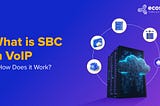 What is SBC in VoIP, & How Does it Work?