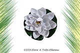 The Water Lily Sings: A Canticle for the Ga Homeland