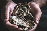 Coastal Restoration: Recycled Shells and Millions of Larvae — A Recipe for Renewed Oyster Reefs