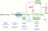 Are Nitrogen Stabilizers Worth Using? 3 Factors to Consider