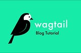 Wagtail blog part#1