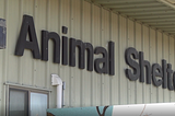Animal shelter seeks more volunteers