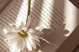 a daisy flower on top of a book