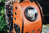 The Lady Who Talked to Alien Cats from Sirius