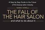The Fall of the Hair Salon Book is Now Available on Amazon