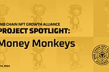 Project Spotlight: Money Monkeys