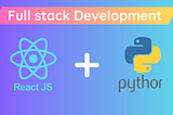 React + Python Development