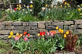 EARTH & US — Oregon Spring