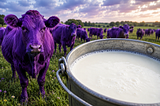 Got A Purple Cow But No Grape Milk