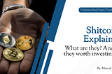 Shitcoins Explained: What Are They? And Are They Worth Investing n?