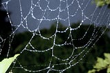 RECLAIMING LEADERSHIP: Navigating Tension Points In The “Leadership Web”