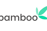 Kunlekareem, Bald Eagles and The Bamboo App: A Harsh Lesson on Investing