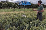 How does biochar reduce soil greenhouse gas emissions?