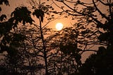 Buxa : Where Heritage and Nature Meet