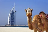 See Dubai by Camel