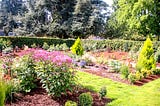 A garden with a hedge surrounding it