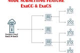 Node-Subsetting in ExaCS & ExaCC