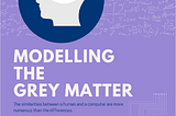 Modelling The Grey Matter