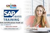 PERKS OF LEARNING SAP BASIS TRAINING PROGRAM IN BEST INSTITUTE
